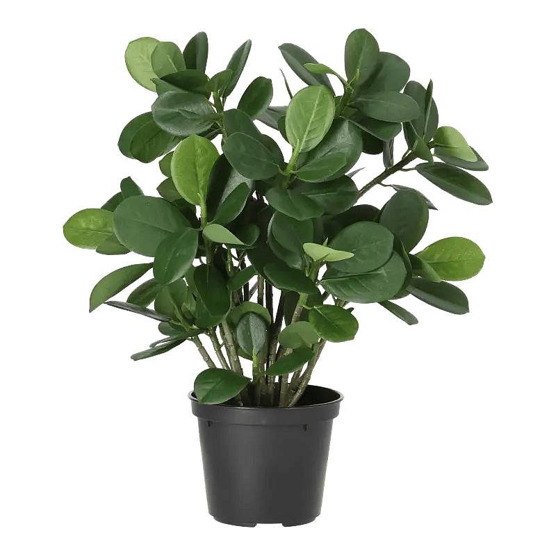 Kunstig ficus panda - H: 34 cm.
