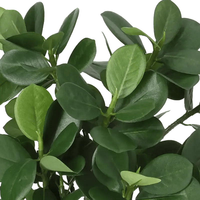 Closeup af Kunstig ficus panda H: 34 cm.