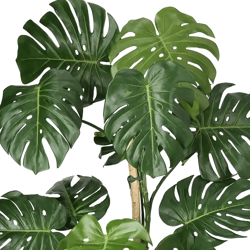 Closeup af Kunstig fingerphilodendron H: 150 cm.