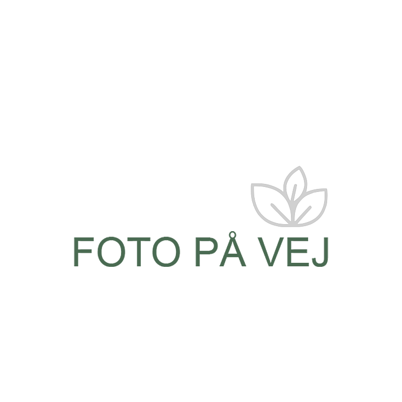 Foto på vej,