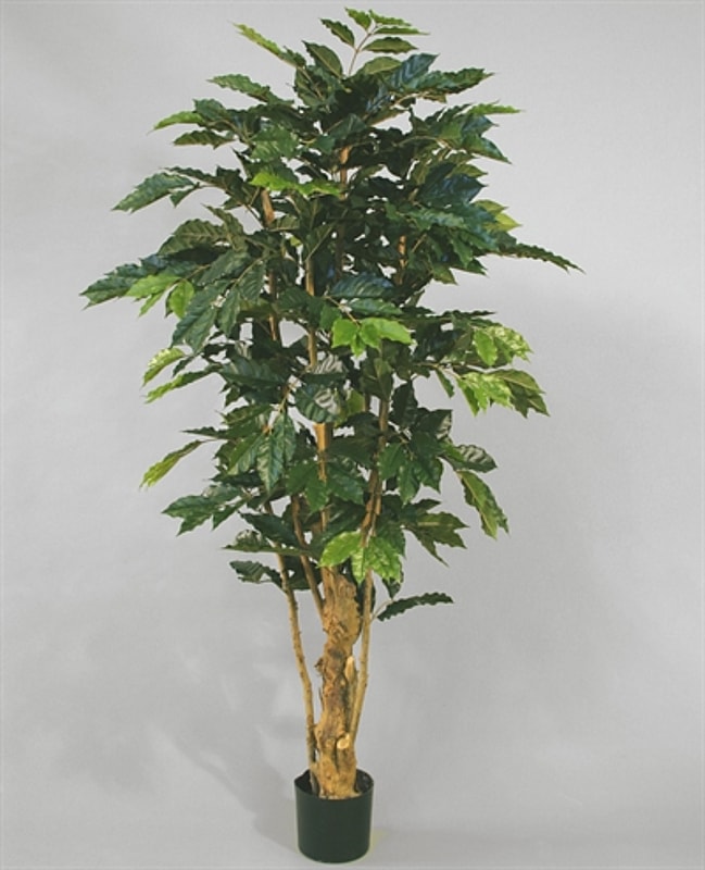 Kunstig kaffetræ - H: 140 cm.