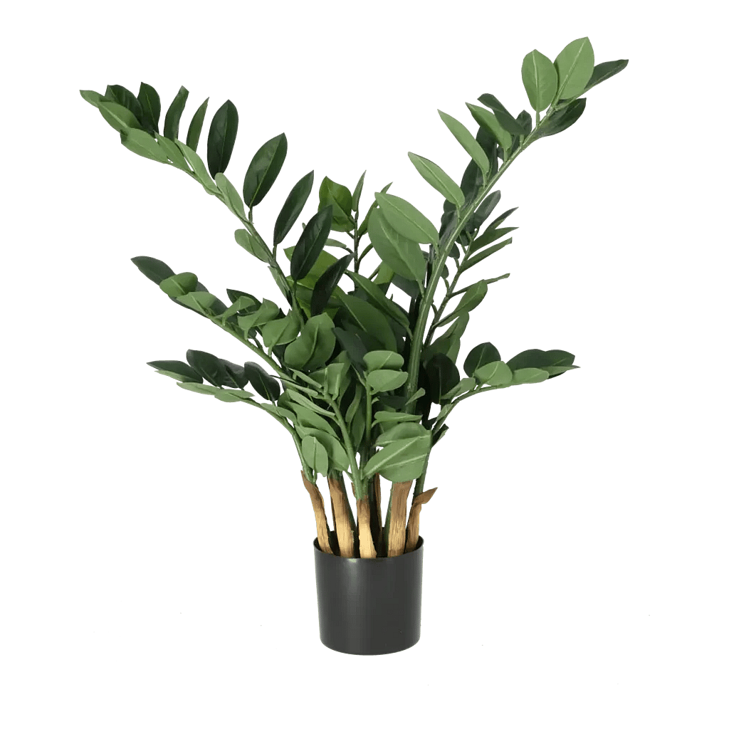Kunstig Zamifolia H: 66 cm.