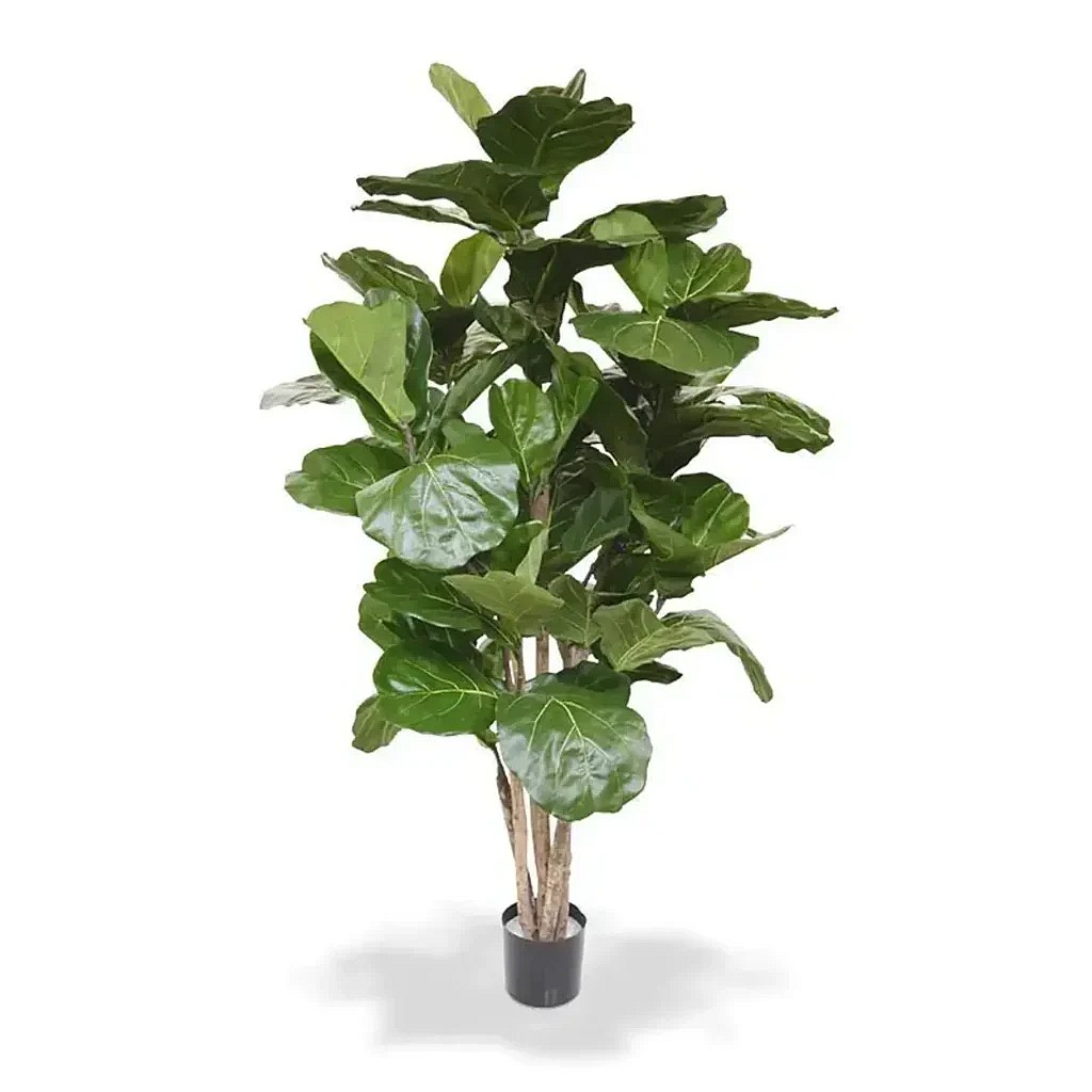 Kunstig Ficus Lyrata H: 170 cm.