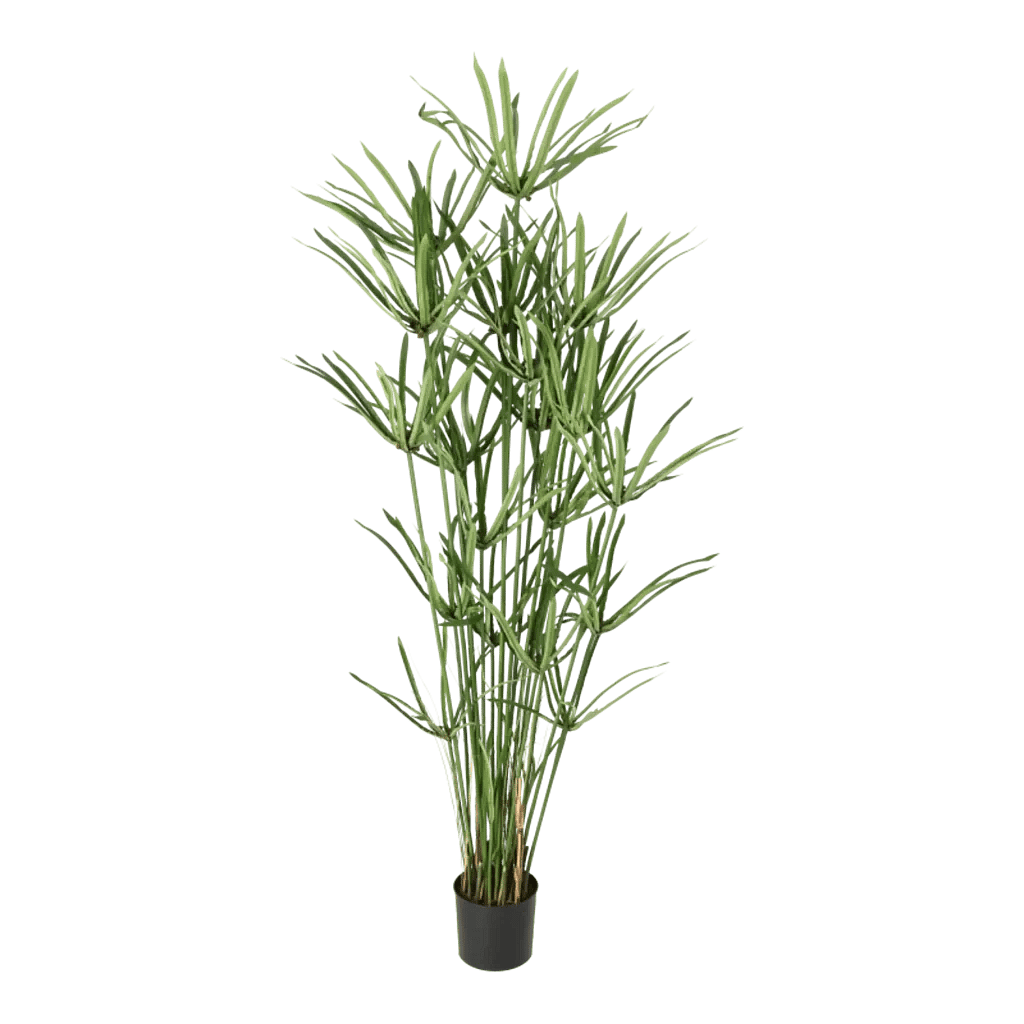 Kunstig Royal Papyrus H: 155 cm.