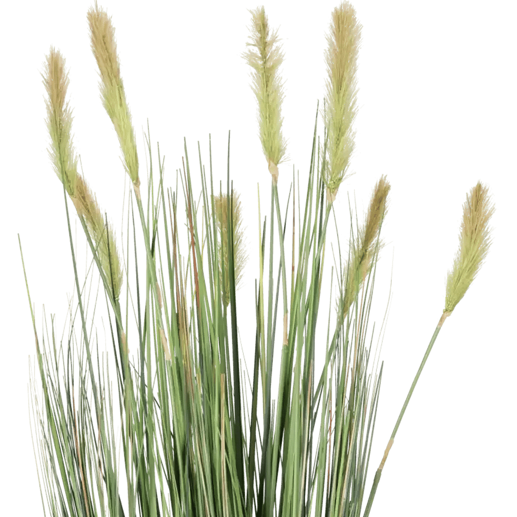Closeup af Kunstig Foxtail græs H: 90 cm.