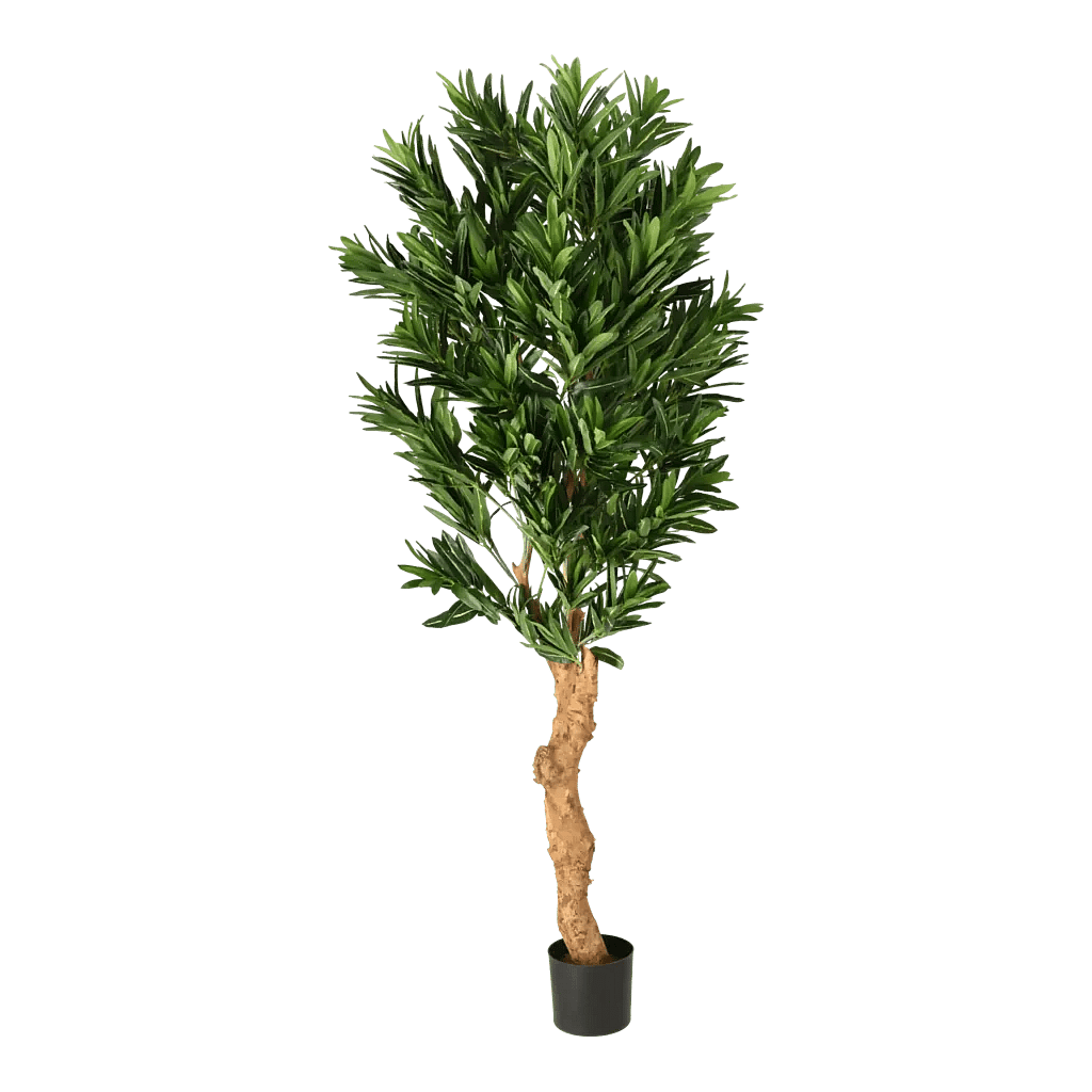 Kunstig Croton H: 180 cm.