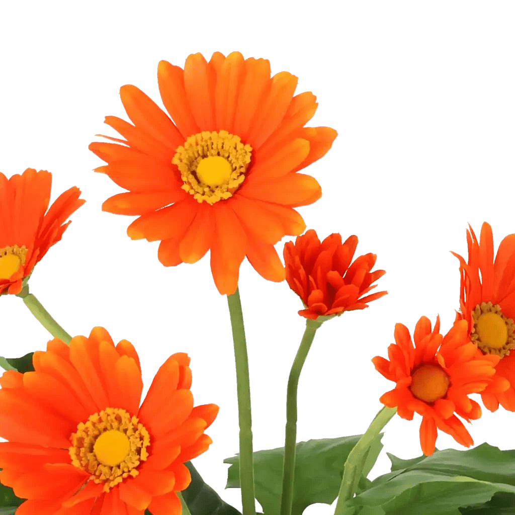 Closeup af Kunstig Gerbera H: 35 cm.