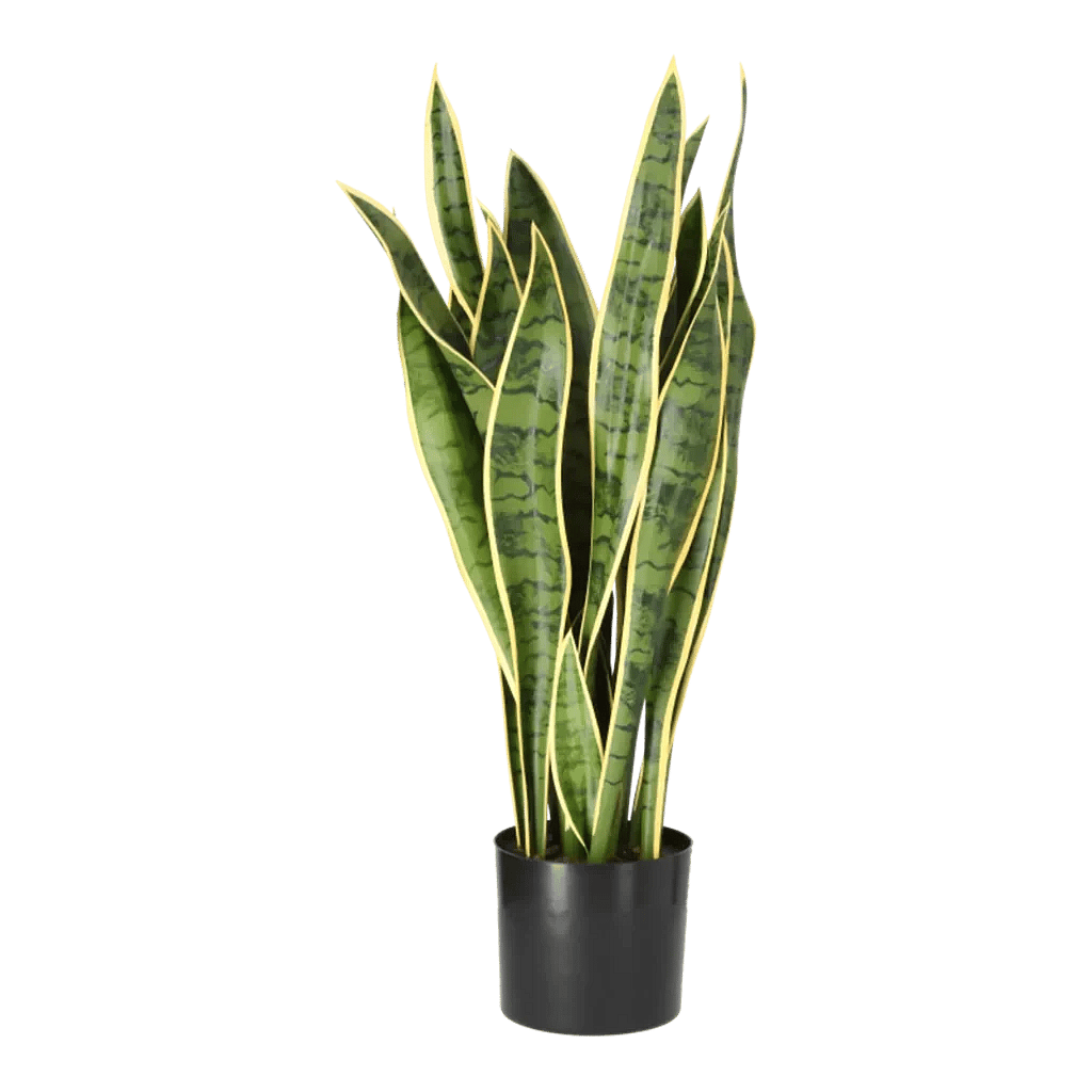 Kunstig Svigermors skarpe tunge H: 80 cm.