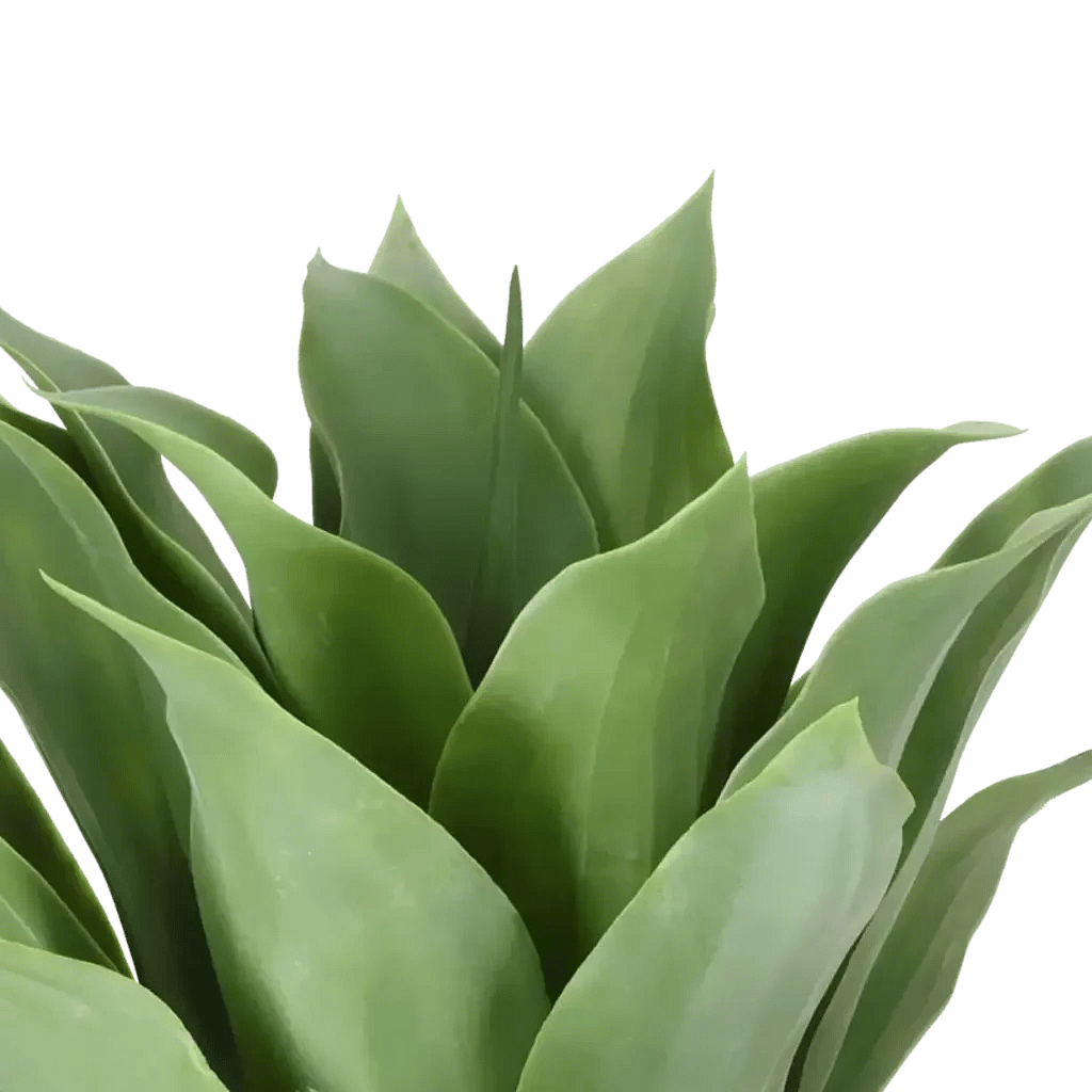 Closeup af Kunstig Giant Agave H 57 cm.