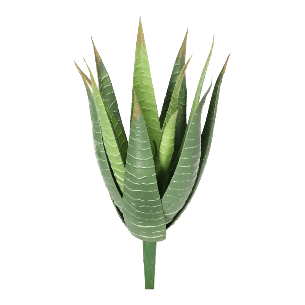Kunstig aloe vera busk.