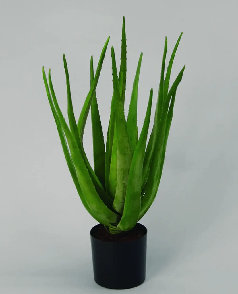 Kunstig Aloe Vera H: 60 cm.