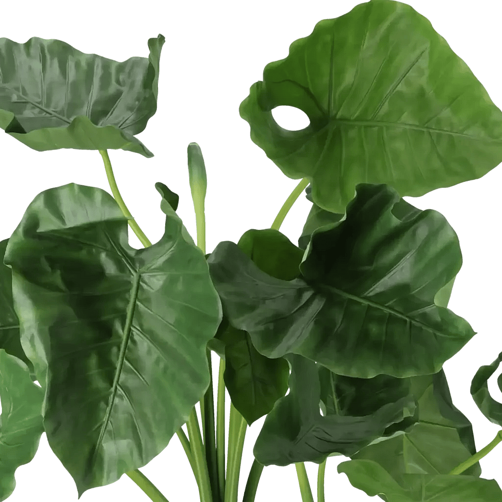 Closeup af Kunstig Alocasia Calidora H: 100 cm.