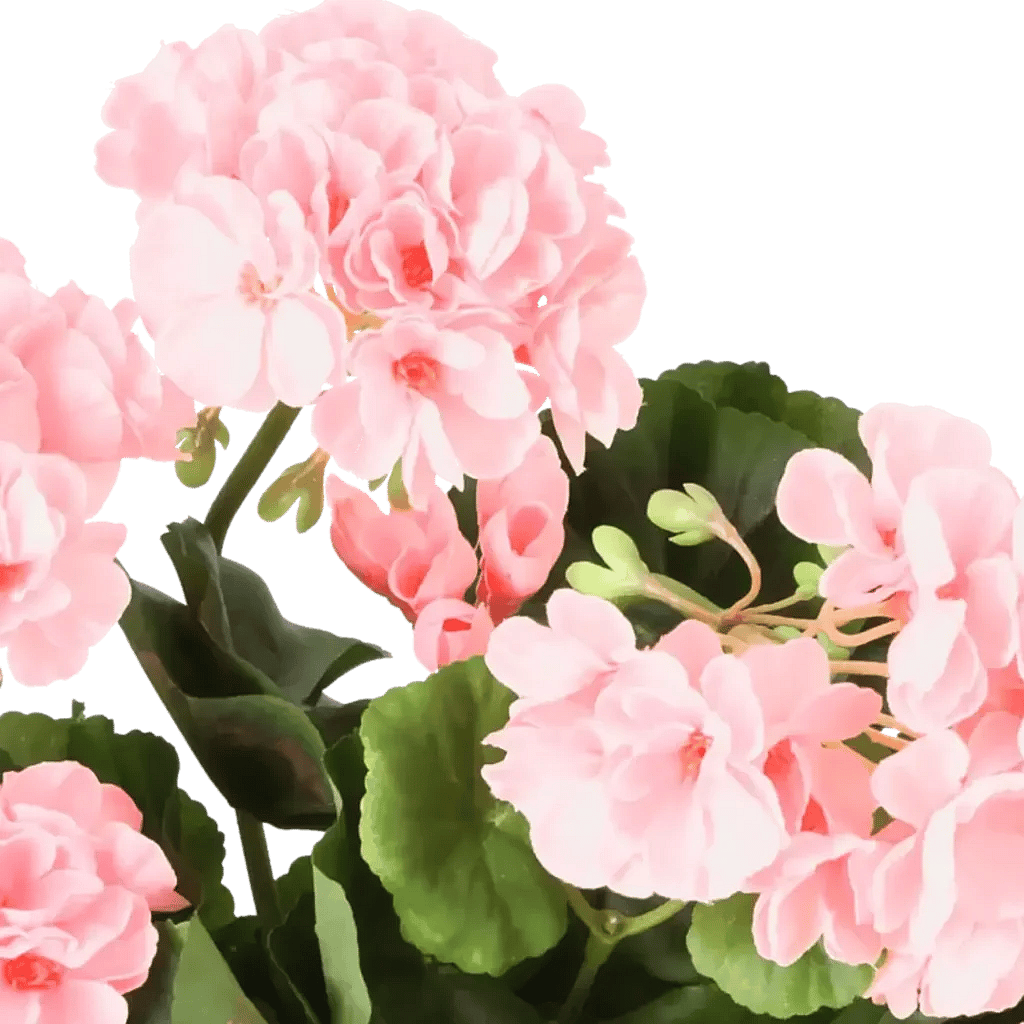 Closeup af Kunstig pelargonie lyserød - H: 35 cm.