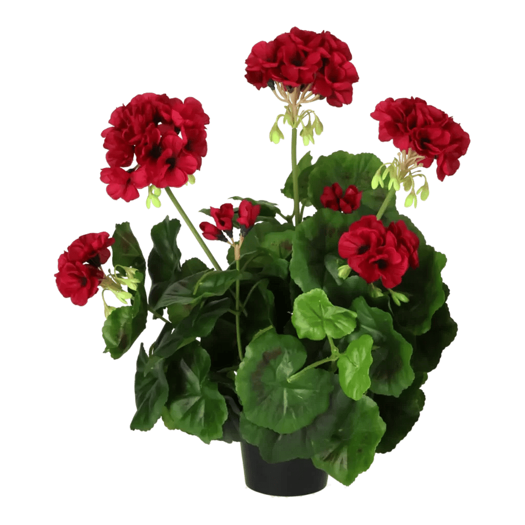 Kunstig pelargonie cerise - H: 35 cm.