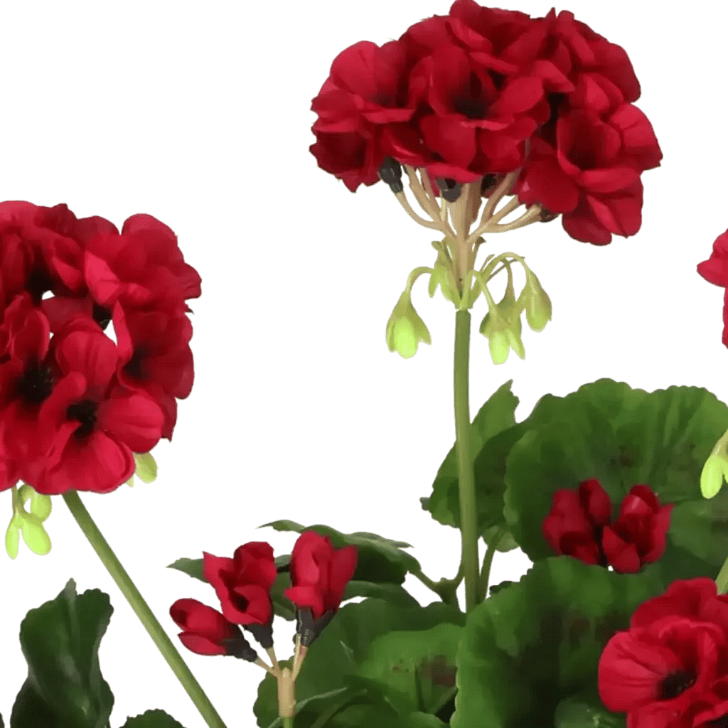 Closeup af Kunstig pelargonie cerise H: 35 cm.