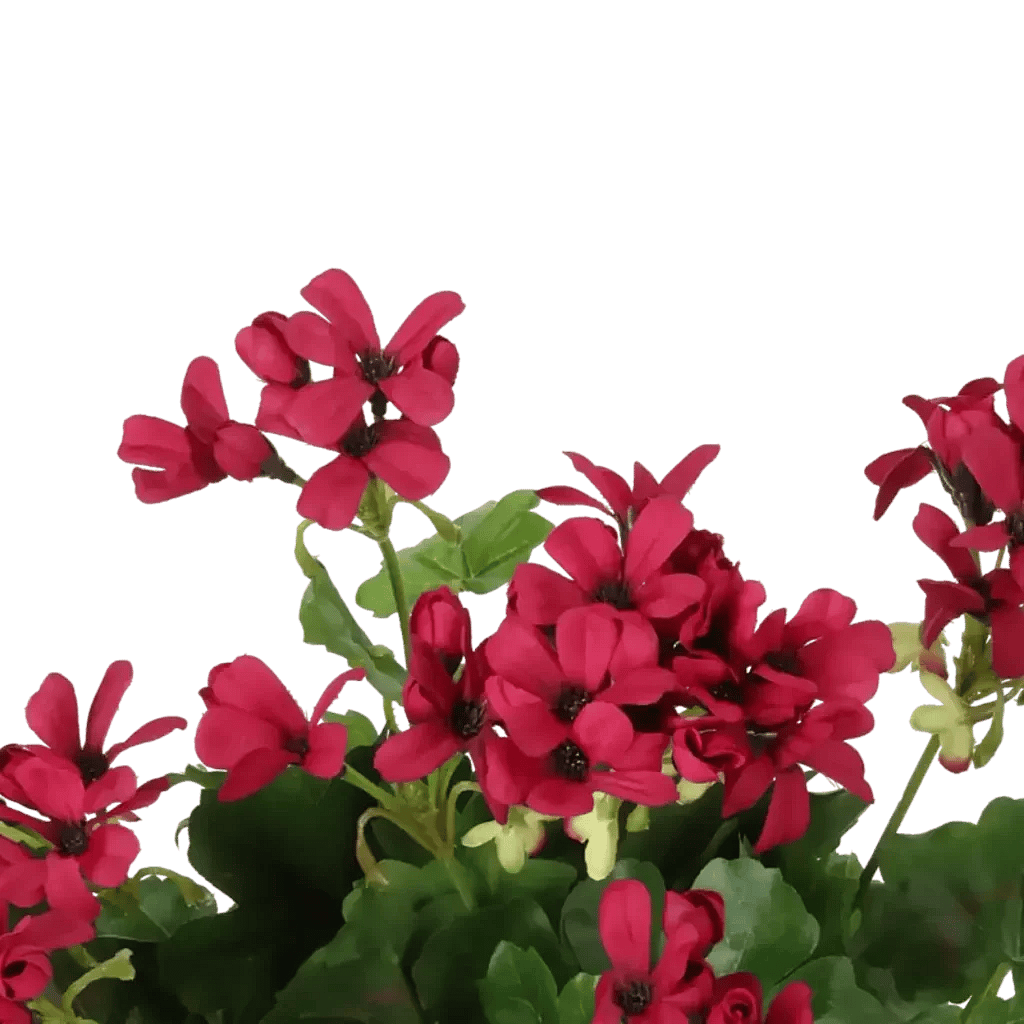 Closeup af Kunstig Geranium Cascade busk violet - H: 35 cm.