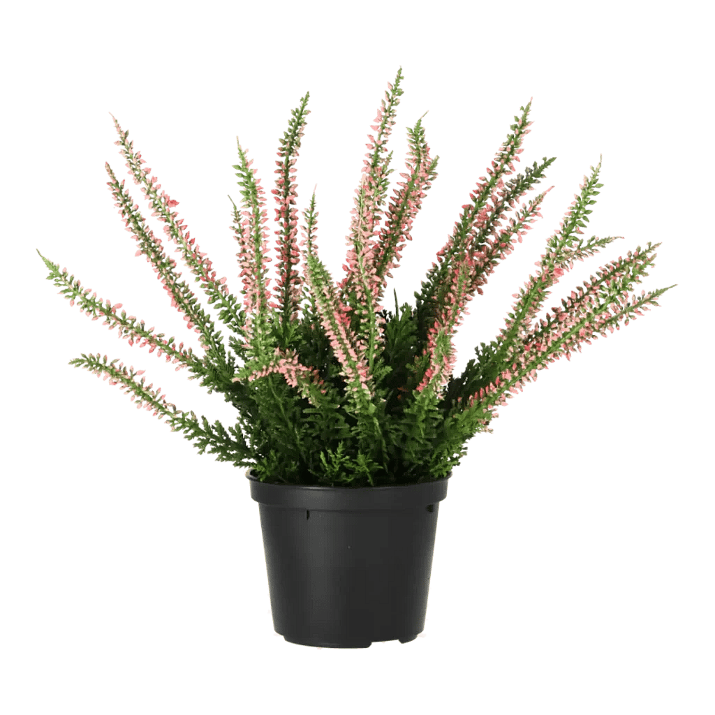 Kunstig lyng plante lyslilla H: 25 cm.