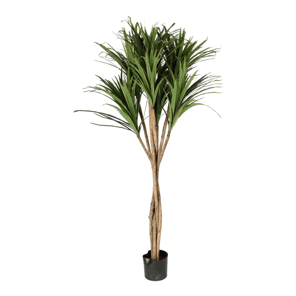 Kunstig Dracena H: 160 cm.