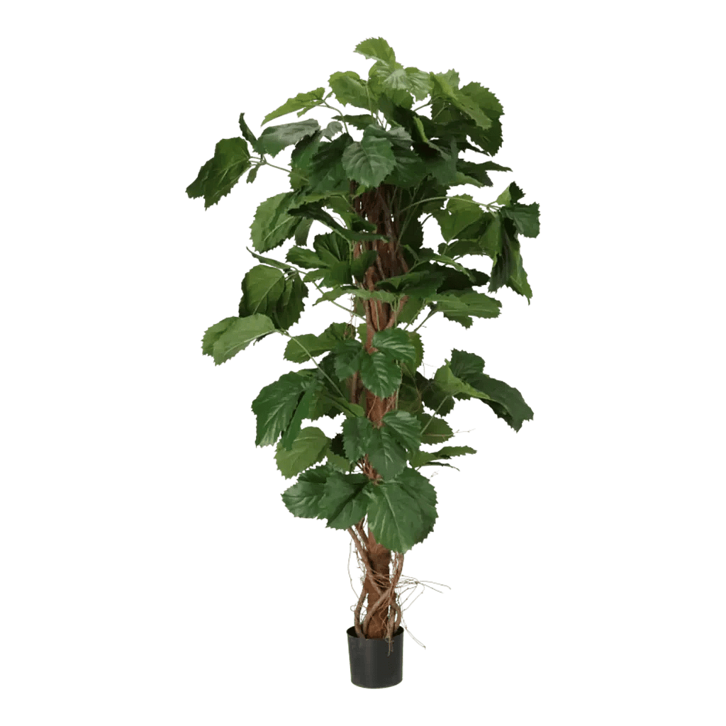 Kunstig Tetrastigma H: 160 cm.