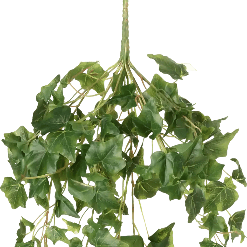 Closeup af Kunstig efeu hængeplante - L: 70 cm.
