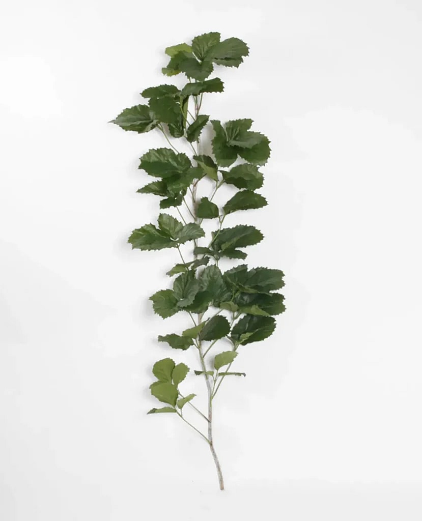 Kunstig Tetrastigma L: 180 cm.