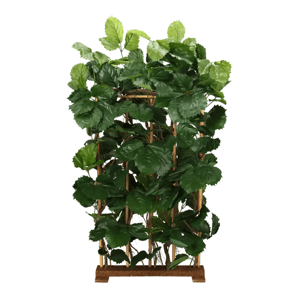 Kunstig Tetrastigma hæk H: 170 cm.
