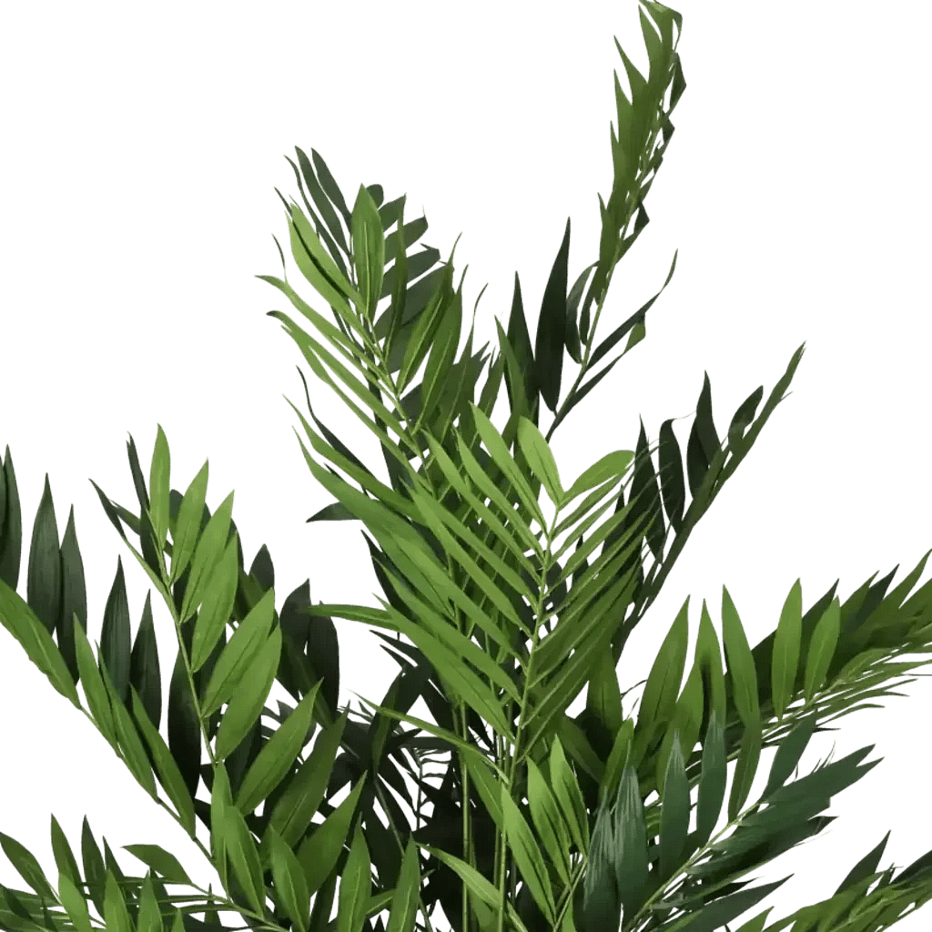 Closeup af Kunstig Parlour palme H: 150 cm.