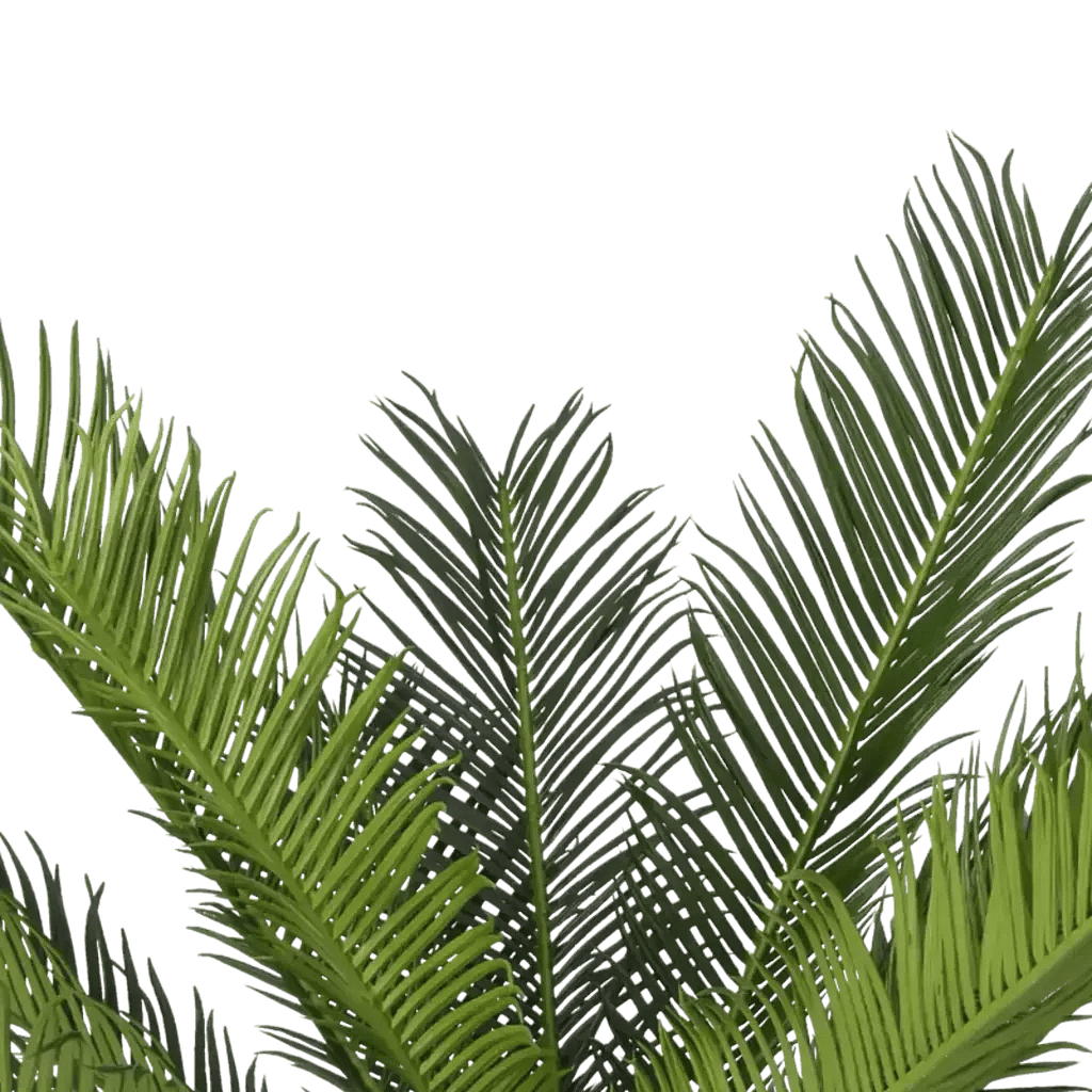 Closeup af Kunstig Cycas palme H: 65 cm.