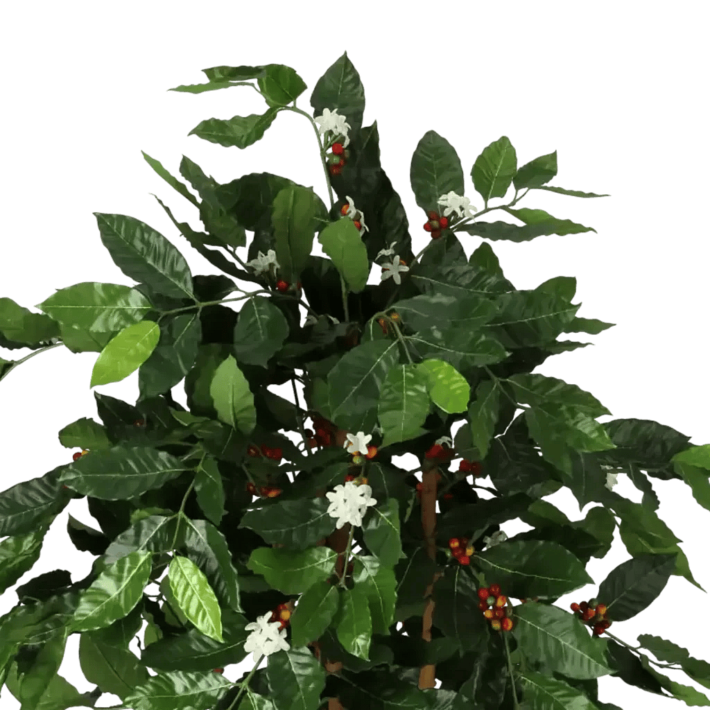 Closeup af Kunstig Kaffetræ m. blomst H: 140 cm.