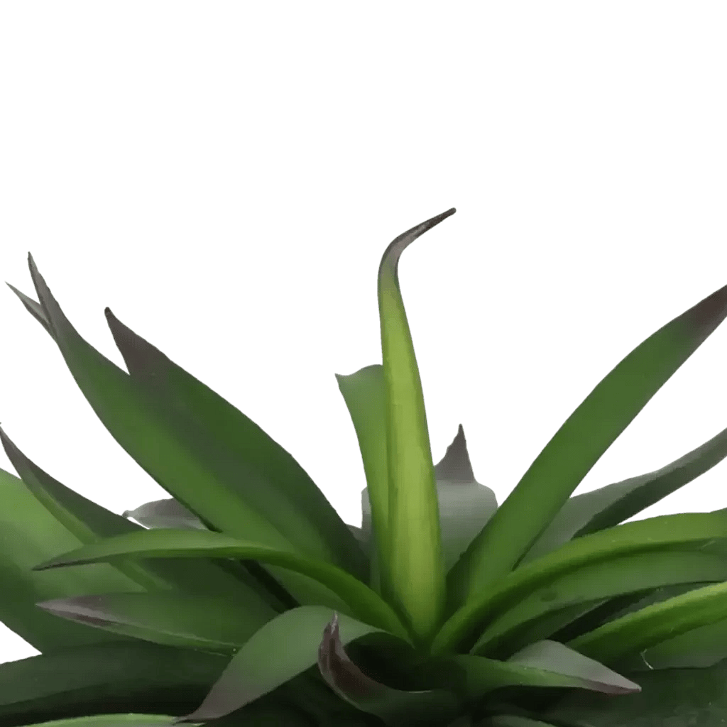 Closeup af Kunstig Agave H: 20 cm.