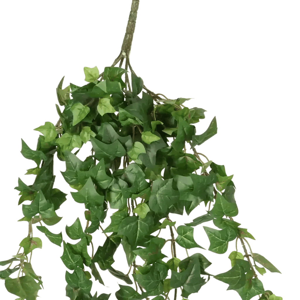 Closeup af Kunstig efeu hængebusk - L: 70 cm.