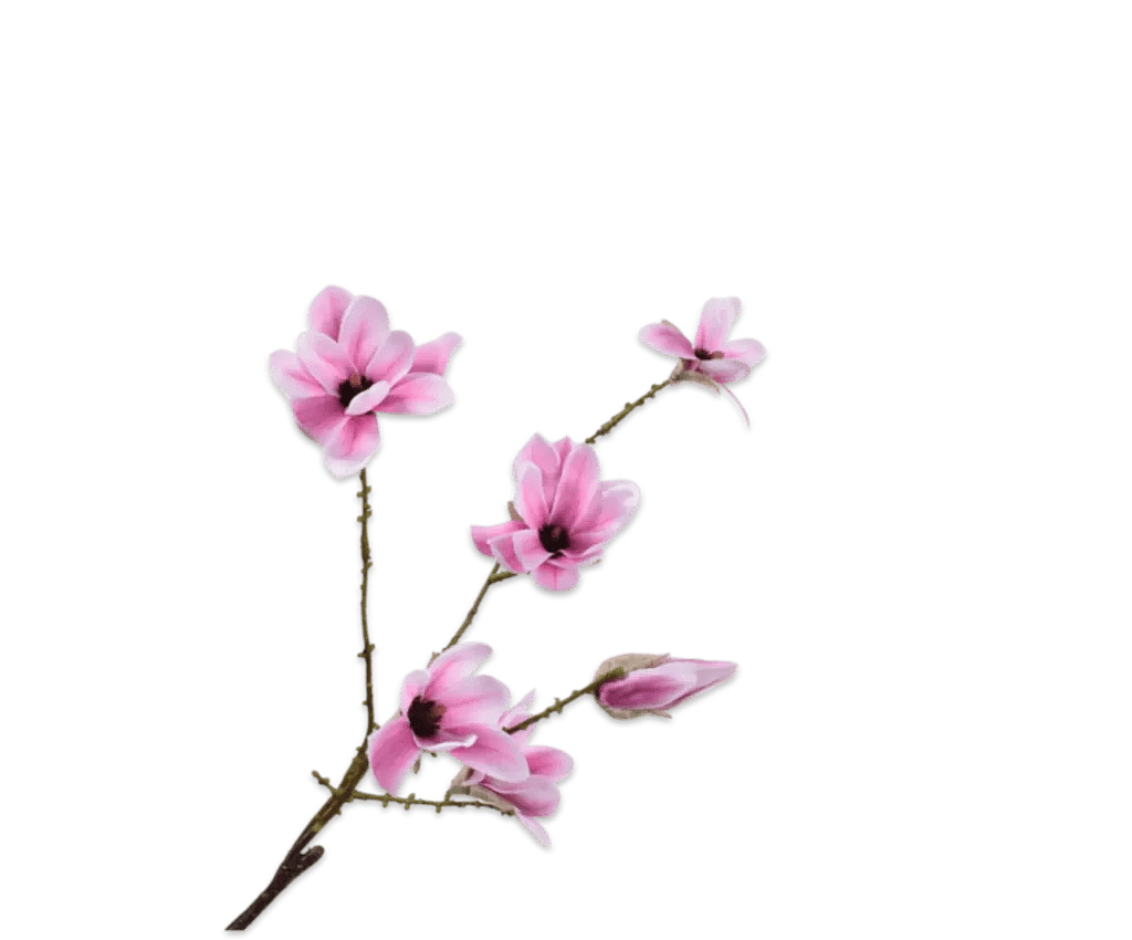 Kunstig Magnolia L: 73 cm.