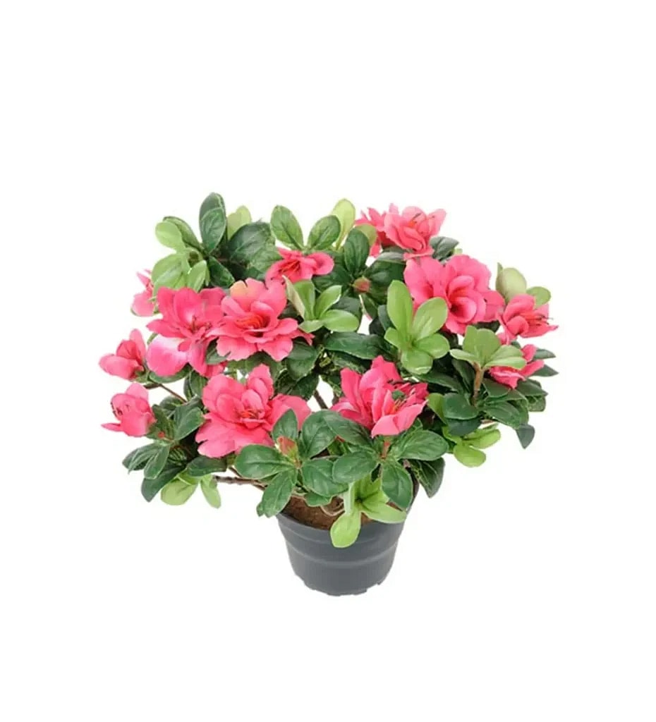 Kunstig Azalea H: 25 cm.