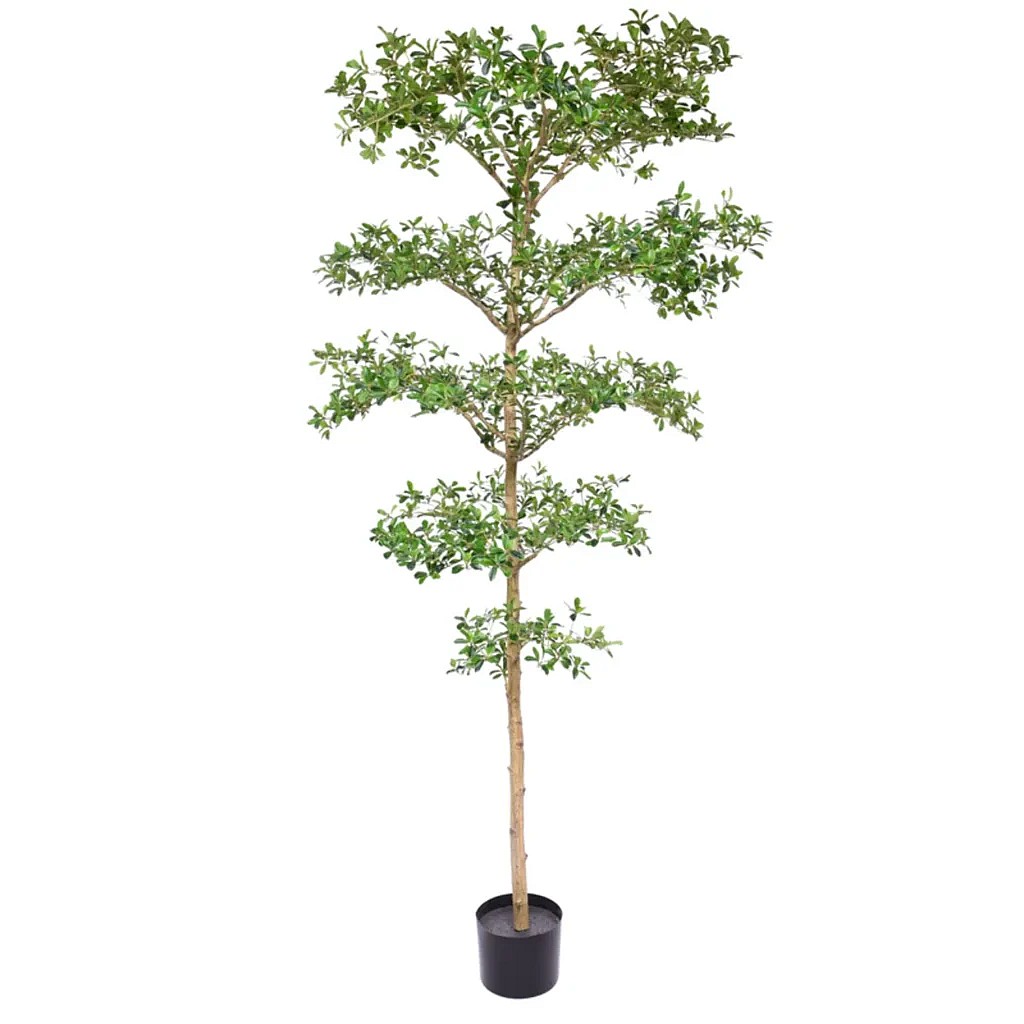 Kunstig Bucida Buceras H: 240 cm.