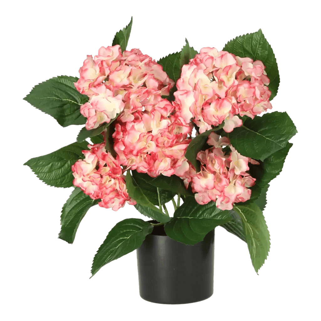 Kunstig hortensia i hvid/rosa - H: 40 cm.