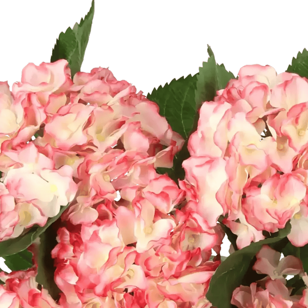 Closeup af Kunstig hortensia i hvid/rosa - H: 40 cm.