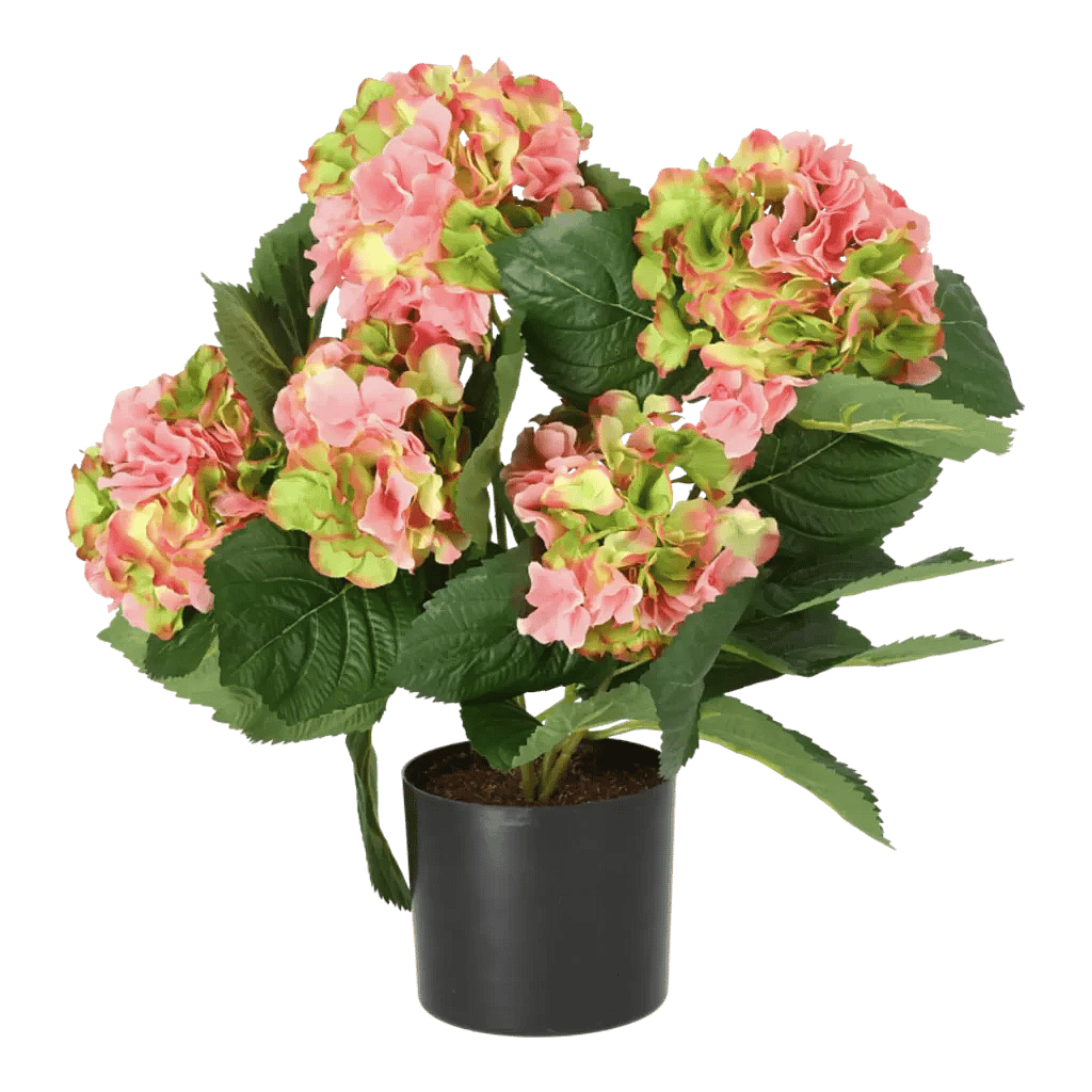 Kunstig hortensia rosa/lime H: 40 cm.