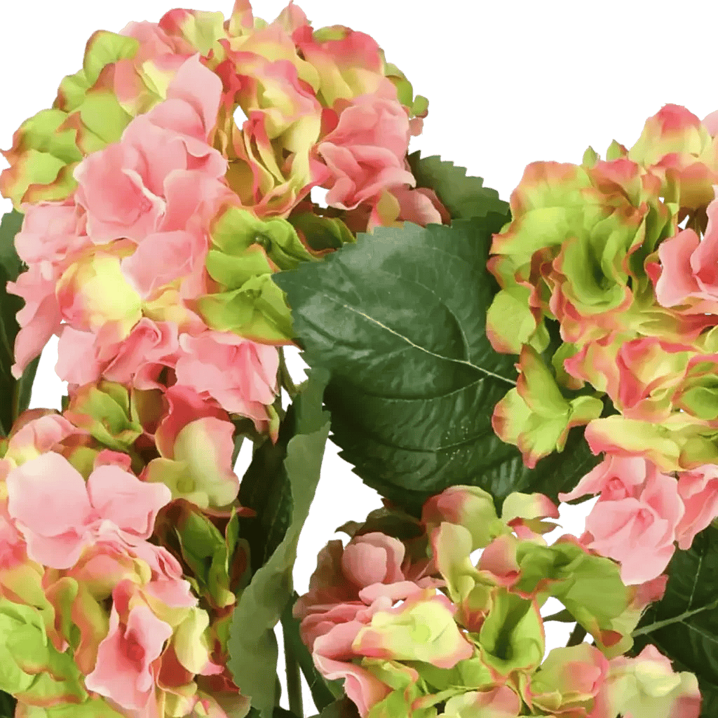 Closeup af Kunstig hortensia rosa/lime H: 40 cm.