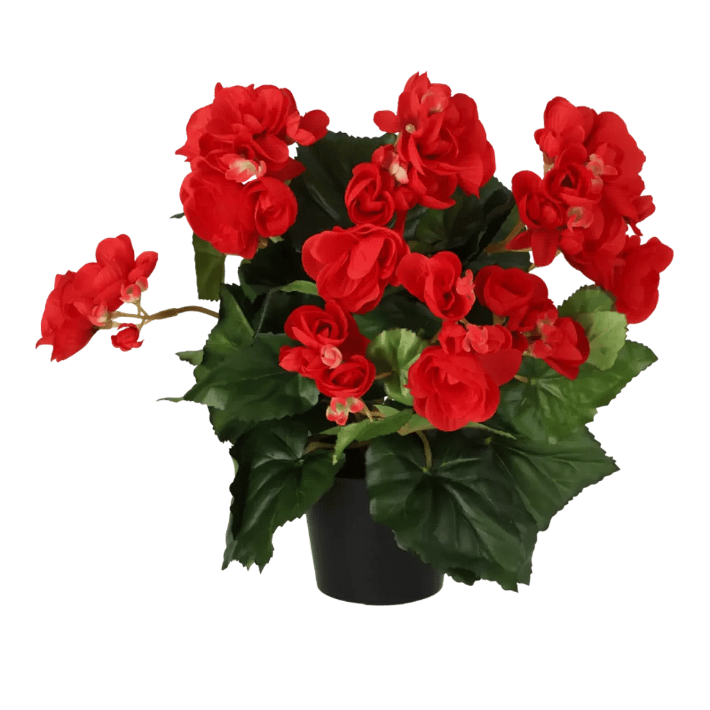 Kunstig begonia i rød - H: 30 cm.