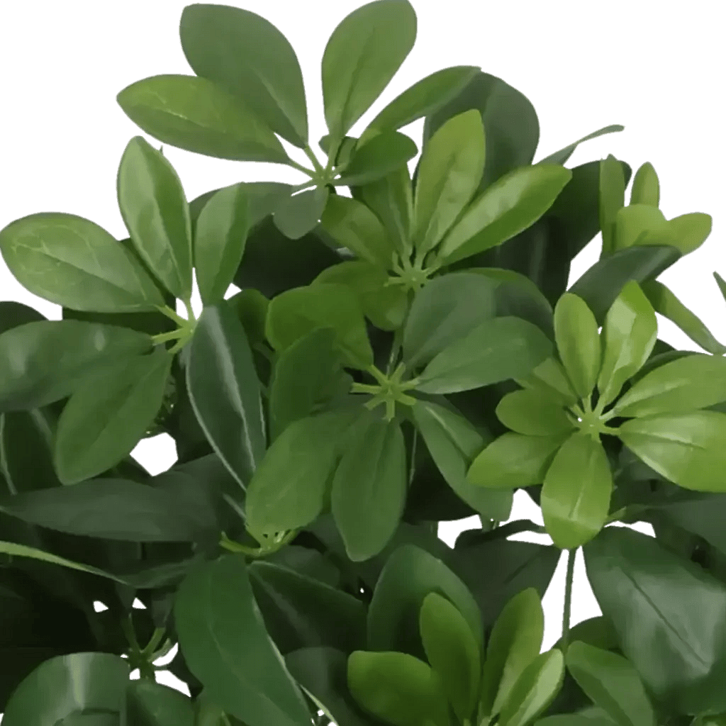 Closeup af Kunstig Schefflera H: 45 cm.