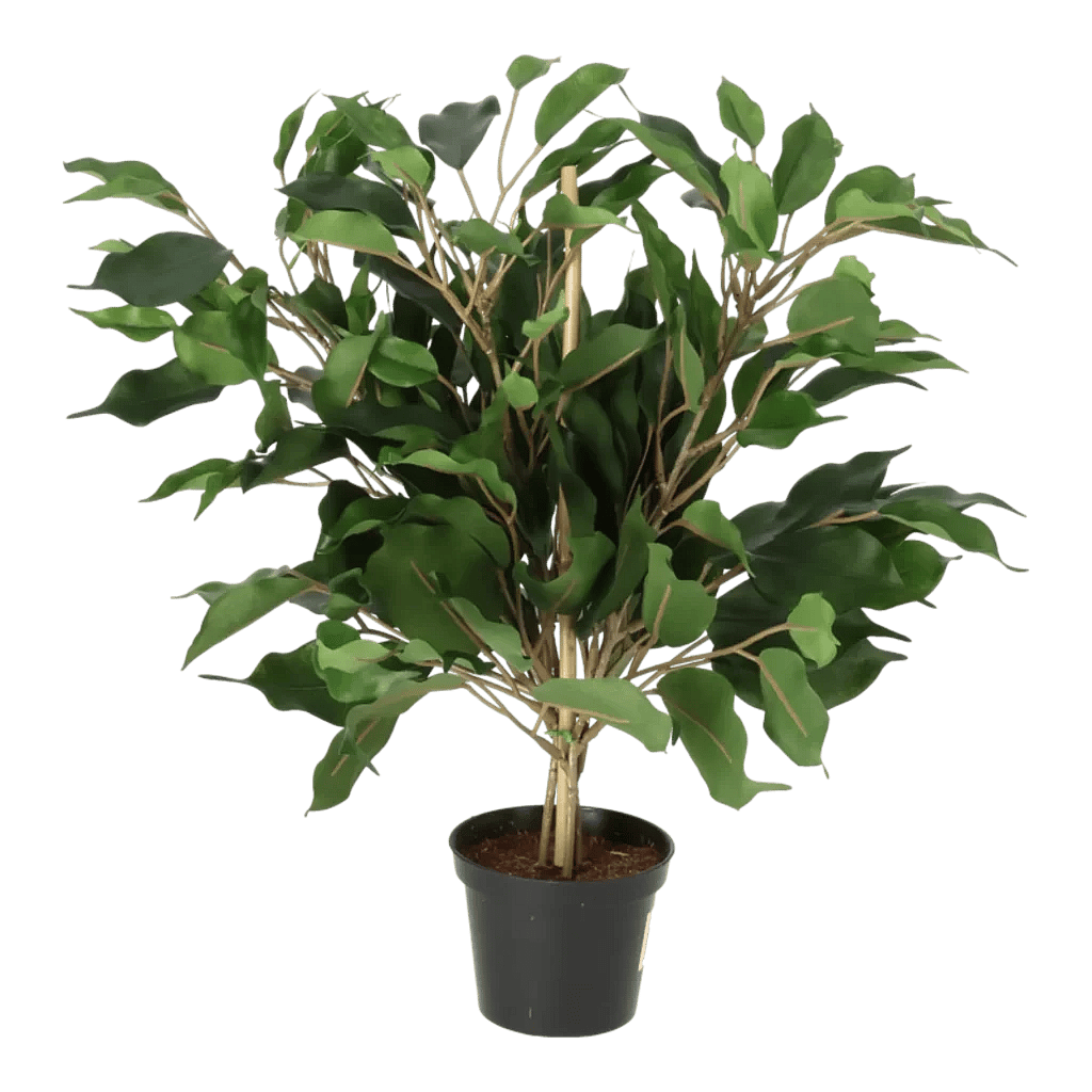 Kunstig Ficus H: 40 cm.