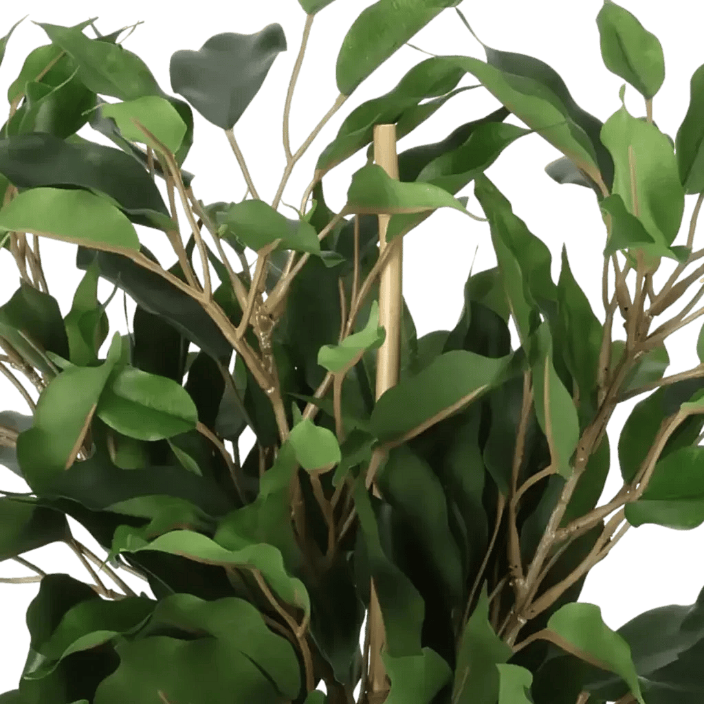 Closeup af Kunstig Ficus H: 40 cm.