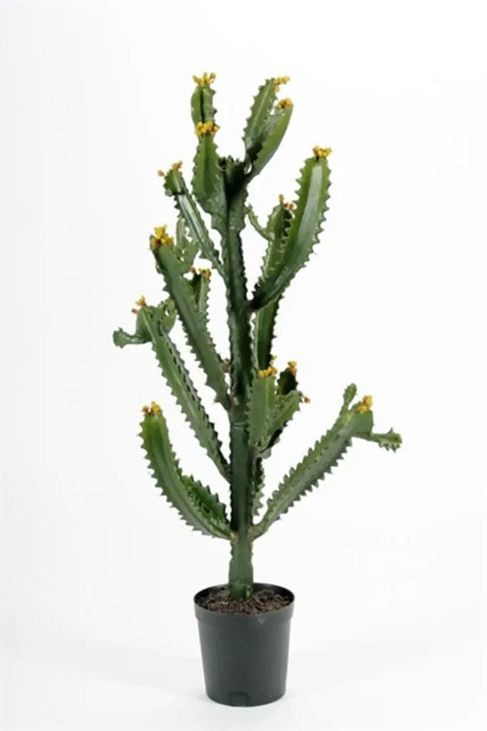 Kunstig Finger Kaktus H: 95 cm.