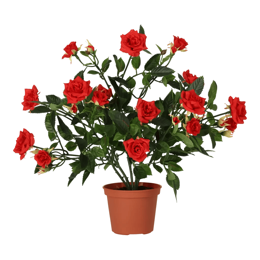 Kunstig mini rose busk rød - H: 33 cm.