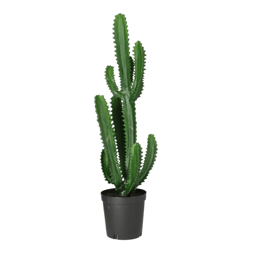 Kunstig Finger Kaktus H: 98 cm.
