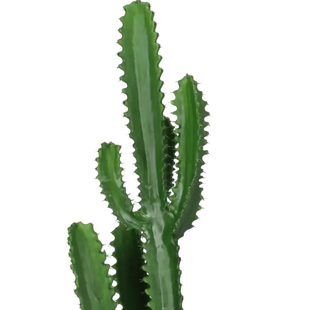 Closeup af Kunstig Finger Kaktus H: 98 cm.