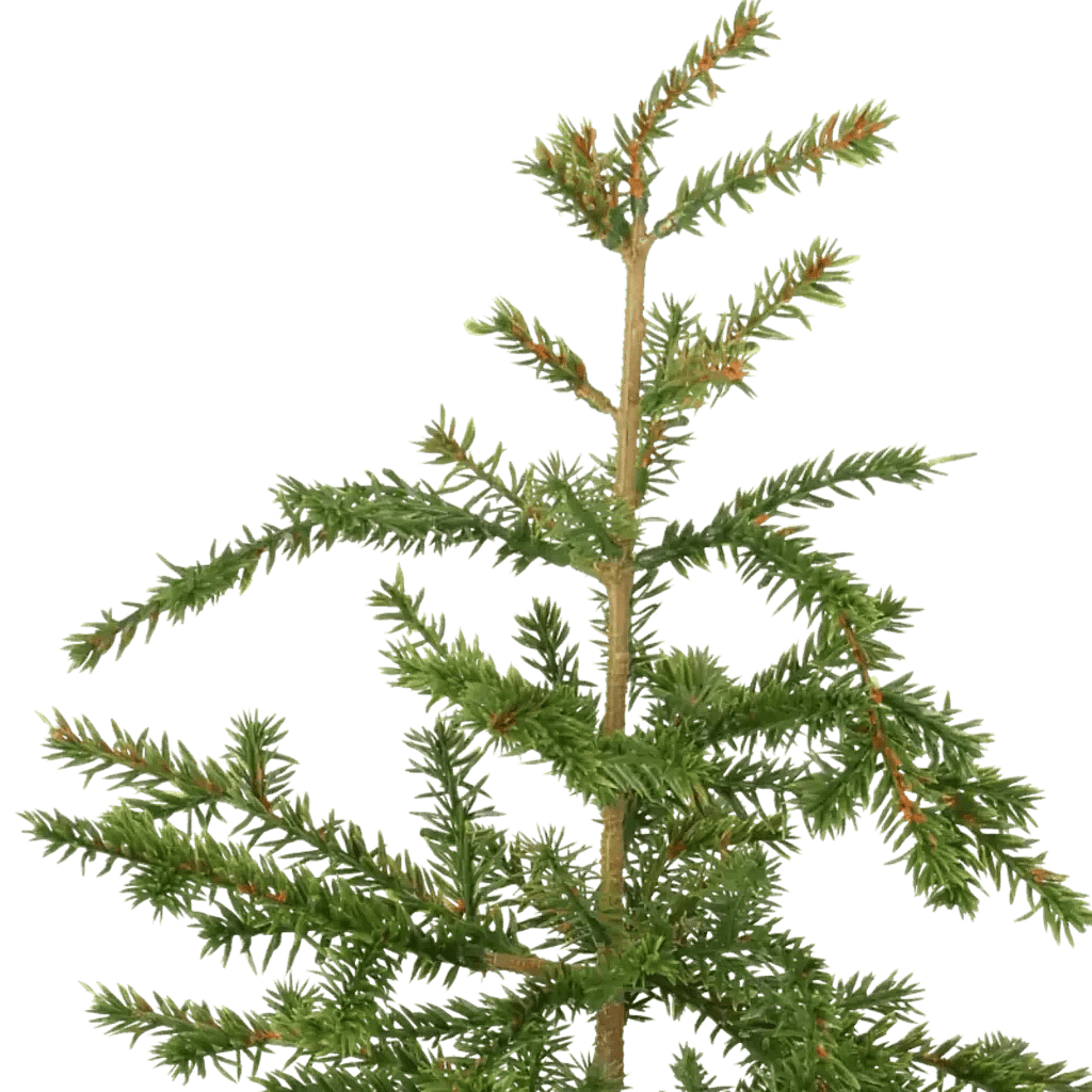 Closeup af Kunstig Gran H: 45 cm.