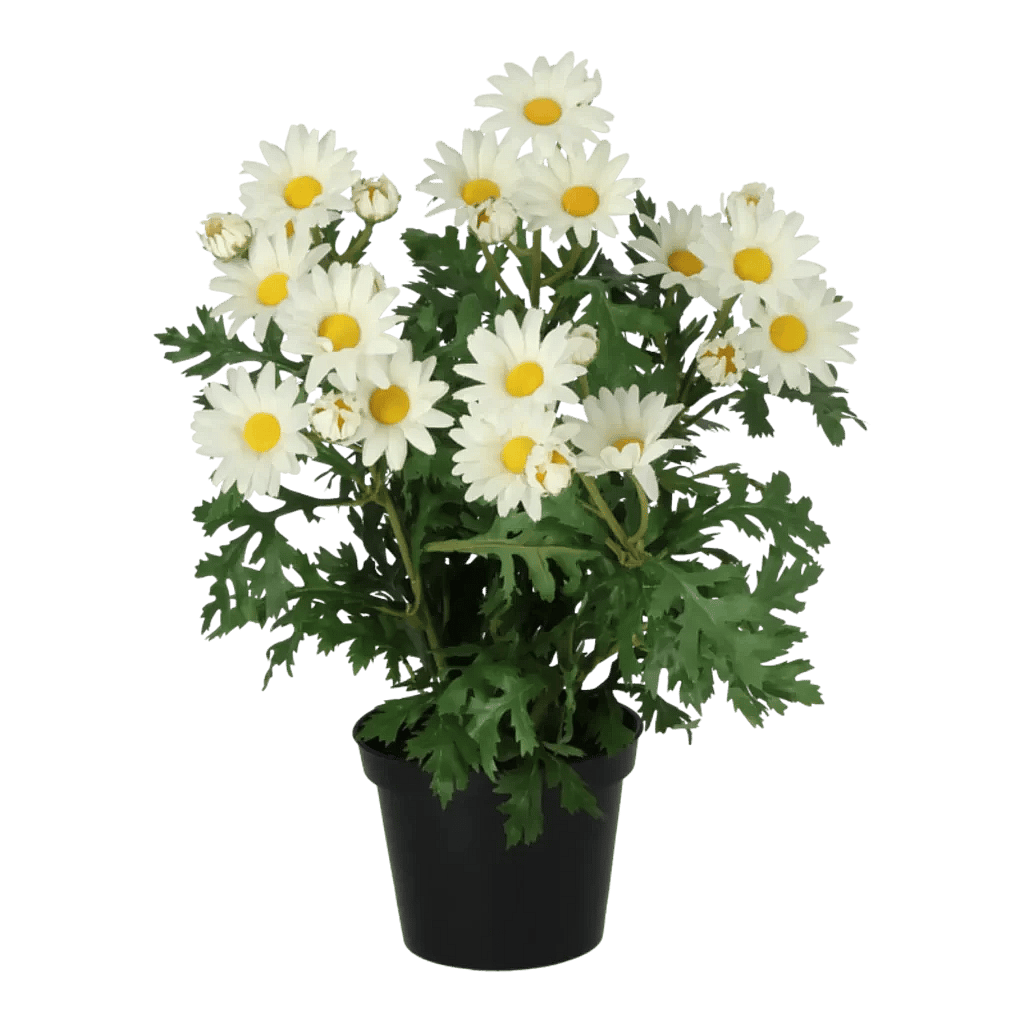 Kunstig marguerit hvid - H: 35 cm.