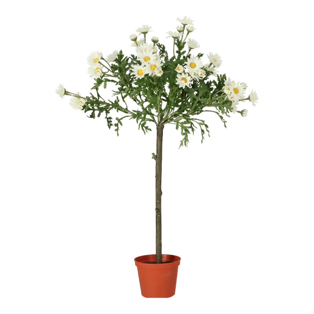 Kunstig Marguerit opstammet H: 60 cm.