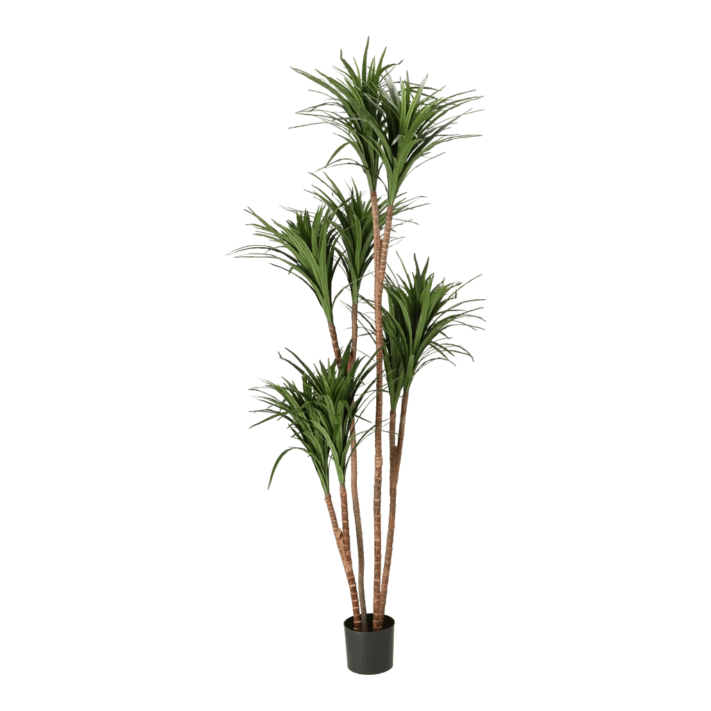Kunstig Dracaena H: 180 cm.